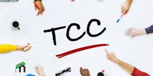 apresssentação tcc